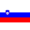 Team Slovenia