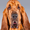 Bloodhounds