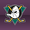 AHA Mighty Ducks